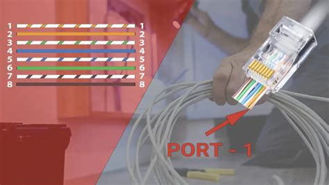 2 gang cat 6 wiring